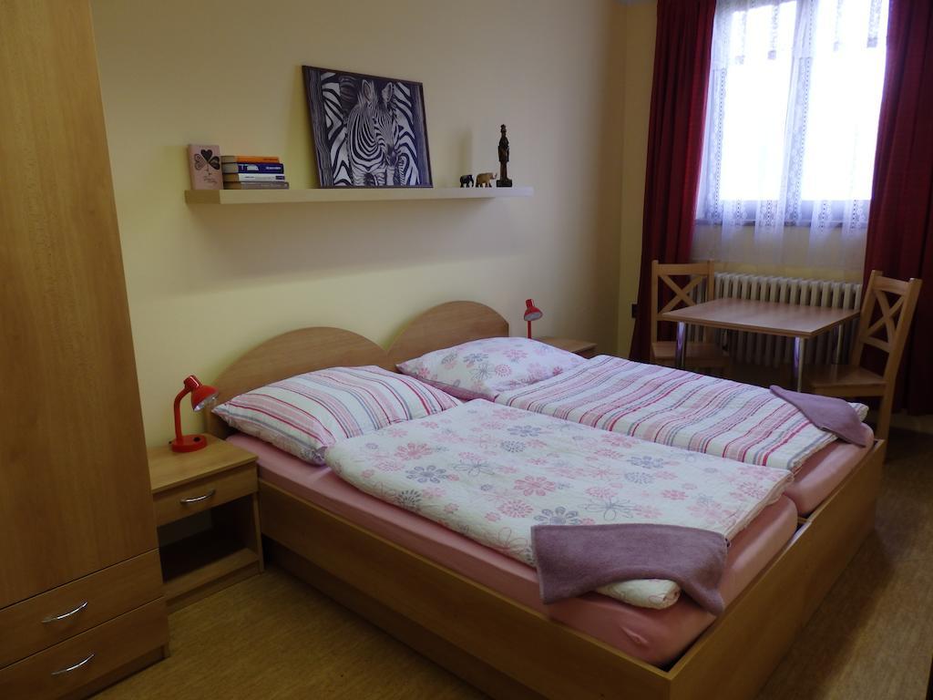 Penzion Janovice Janovice nad Uhlavou Room photo