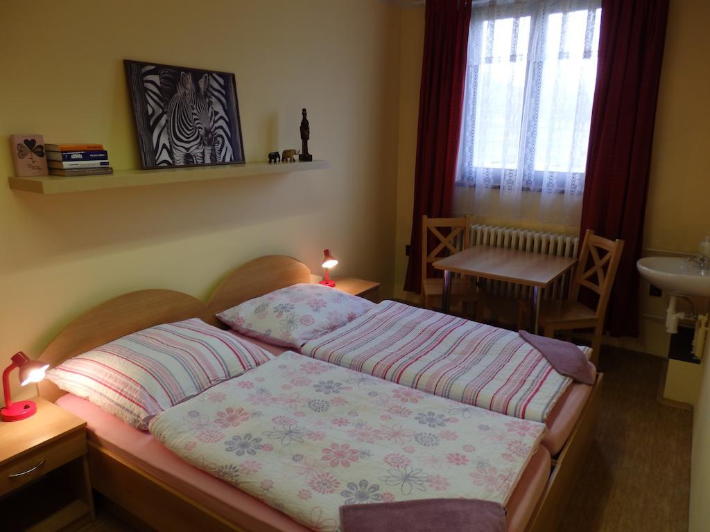 Penzion Janovice Janovice nad Uhlavou Room photo